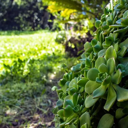 La Margherita 2* 迪亚诺马里纳