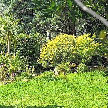 La Margherita فندق 2*