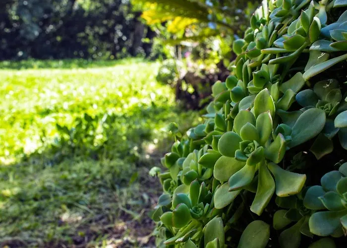 La Margherita 2* Diano Marina